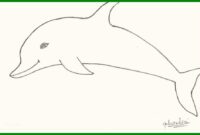 delfin bastelvorlage