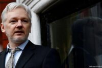 does julian assange have children