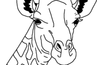 vorlage giraffe malen