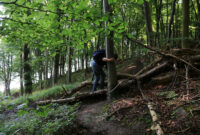 hindernis kreuzworträtsel