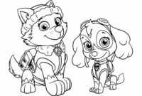 paw patrol ausmalbilder