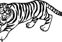 malvorlage tiger