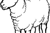 malvorlagen schaf