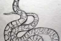 schlange zeichnungen schlange zeichnungen