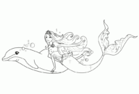 ausmalbilder delphin meerjungfrau ausmalbilder delphin meerjungfrau