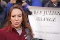 was julian assange extradited