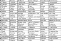 stadt land fluss regeln stadt land fluss regeln