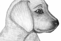 ideen tiere zeichnen