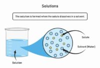 what is the substance that dissolves a solute