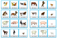 tierbilder für kinder tierbilder für kinder