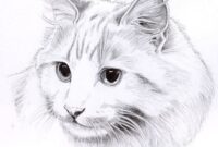 katze zeichnung katze zeichnung