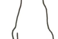 hund zum nachmalen hund zum nachmalen