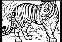 ausmalbild tiger ausmalbild tiger