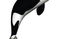 orca vorlage