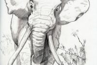 zeichnung elefant