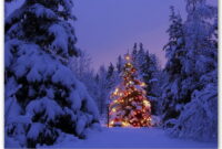 frohe weihnachten bilder