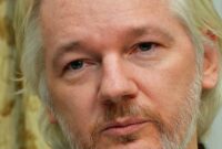 why did julian assange make wikileaks why did julian assange make wikileaks