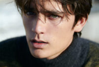 alain fabien delon jr alain fabien delon jr