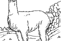 malvorlagen alpaka malvorlagen alpaka