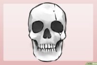 totenkopf zeichnen