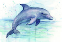 delfin art delfin art