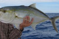 bar jack fish bar jack fish