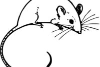 maus umriss maus umriss