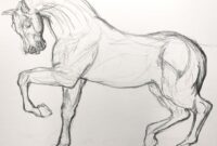 pferde zeichnung pferde zeichnung