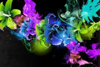 bunte bilder bunte bilder