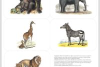 tierkarten zum ausdrucken tierkarten zum ausdrucken