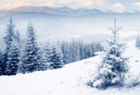 winter bilder kostenlos winter bilder kostenlos