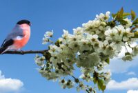 schöne fotos kostenlos schöne fotos kostenlos