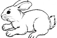 malvorlage hase einfach malvorlage hase einfach