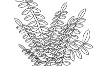 pflanzen zum ausmalen pflanzen zum ausmalen