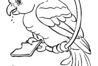 ausmalbilder papageien ausmalbilder papageien