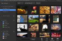 adobe kostenlos nutzen adobe kostenlos nutzen