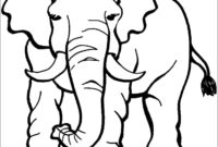 malbilder elefant malbilder elefant