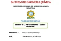 gaudin-schumann plot