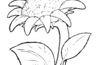 sonnenblumen zum ausmalen sonnenblumen zum ausmalen