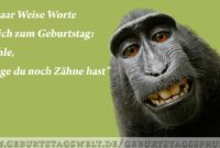 geburtstagsbilder lustig geburtstagsbilder lustig