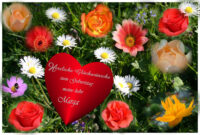 blumen geburtstag bilder blumen geburtstag bilder