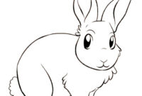 hase zeichnung hase zeichnung