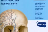 head and neck anatomy atlas pdf