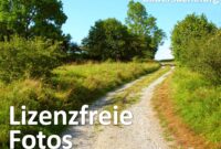 kostenlose bilder google