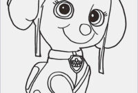 paw patrol sky ausmalbilder paw patrol sky ausmalbilder