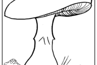 pilze ausmalbilder pilze ausmalbilder