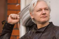 what did julian assange reveal what did julian assange reveal