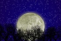 mond mit sternen mond mit sternen