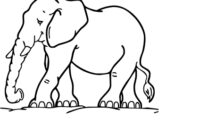 elefanten ausmalbild elefanten ausmalbild