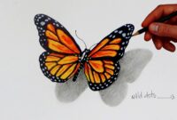 schmetterling zeichnungen